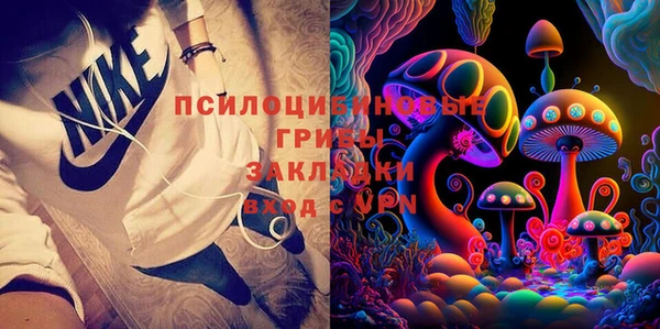 дживик Кинешма