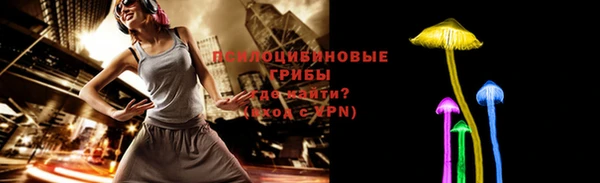 дурь Киреевск