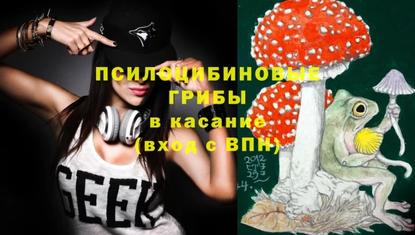 дживик Кинешма