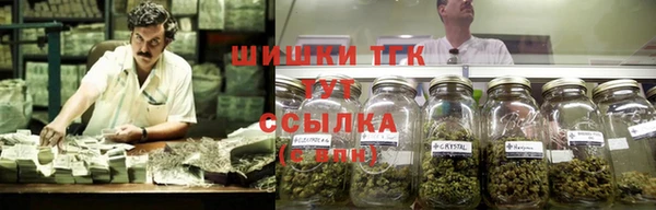 дживик Кинешма